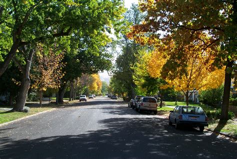 Tree Selection Guide — Treasure Valley Canopy Network