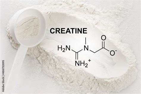 Creatine: Benefits, Types, and Which One to Choose? - Shinrinyoku Balm