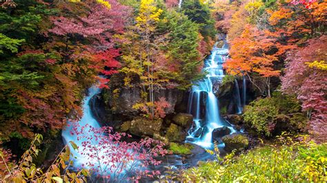 Best Time To Visit Japan Seasons To Visit Tips For Travelling