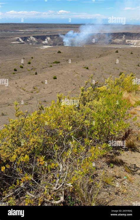 The Picturesque Steaming Craters Kilauea And Halemaumau Hawaiʻi