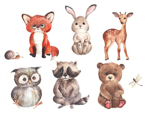 Aquarell Waldtiere Kinderzimmer Clipart Set S E Baby Tiere Etsy