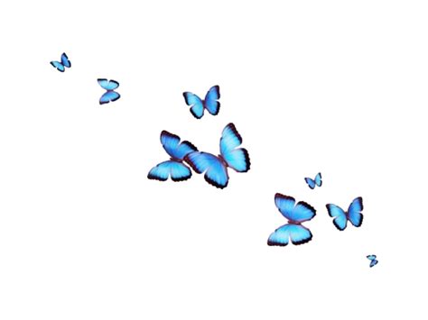 Blue Butterfly Wallpapers Aesthetic Free Download