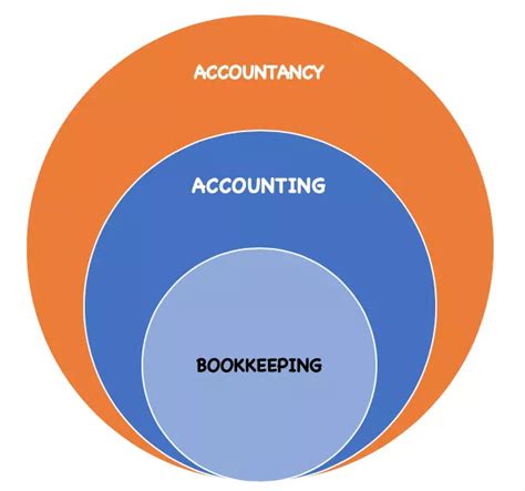 Accountancy Vs Accounting Article Vibrantfinserv