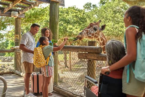 The Brevard Zoo on Florida's Space Coast