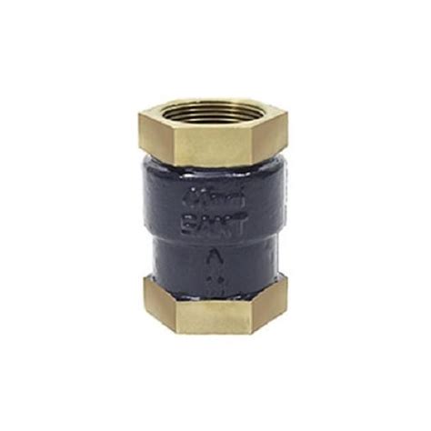 Sant Gun Metal Vertical Lift Check Valve Mm Is