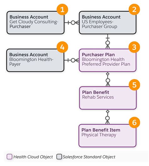 Learn About The Provider Data Model Unit Salesforce Trailhead Ph