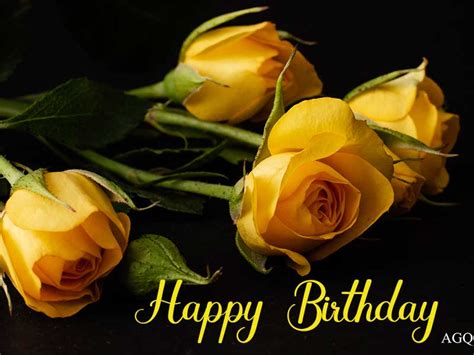 30 Happy Birthday Yellow Rose Images With Quotes