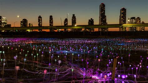 Field of Light at Freedom Plaza