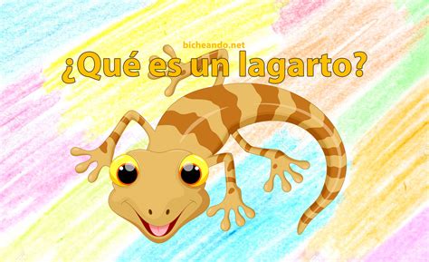 Qué Es Un Lagarto 【anfibios Y Reptiles Para Niños】