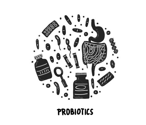 Probiotic Vector Hd Png Images Probiotics Concept Probiotic Gut Flora