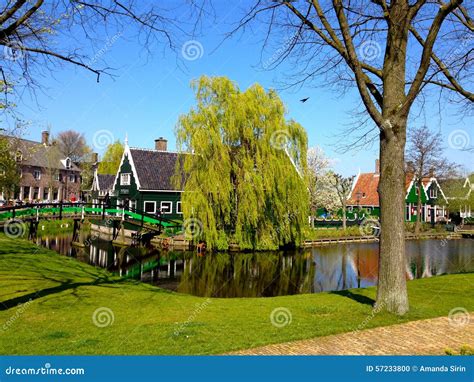 Traditional Dutch Houses stock photo. Image of growth - 57233800