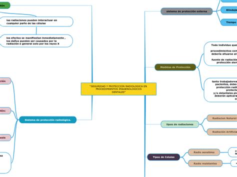 SEGURIDAD Y PROTECCION RADIOLOGICA EN PR Mind Map