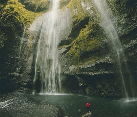 Yuk Wisata Ke Air Terjun Madakaripura Eksotisme Air Terjun Tertinggi