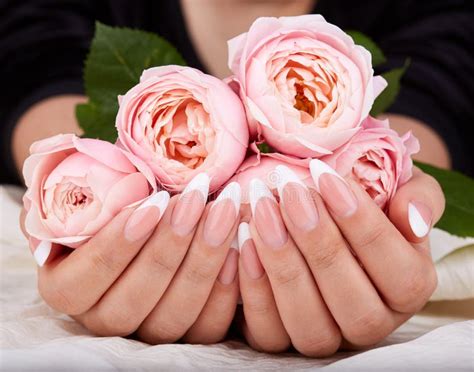 Hands With Long Artificial French Manicured Nails Stock Photo Image