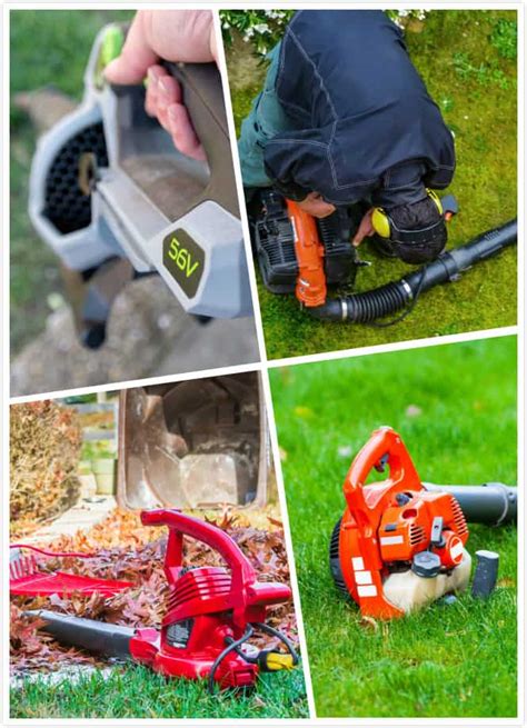 Gas Vs Electric Leaf Blower Which Is Right For You