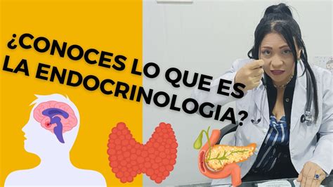 Conoces que es la Endocrinología YouTube