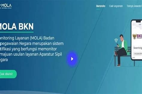 Bagi PPPK Yang Lolos CASN 2024 Begini Cara Cek Status NIP Online Via