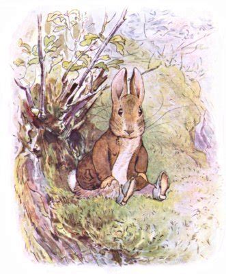 Peter Rabbit - Beatrix Potter Photo (2469251) - Fanpop