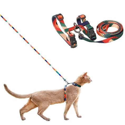 Best Cat Harness For Your Adventurous Feline 2024