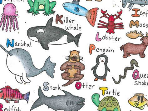 Sea Animals You Can Swim With at Lily Patricia blog