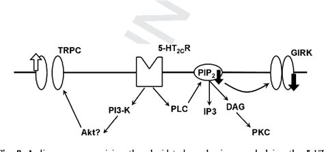 Figure From Serotonin Induces Depolarization In Lateral Amygdala