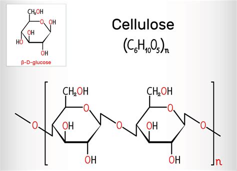 Natural Polymers Cellulose