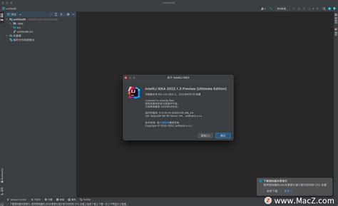 Java开发工具IntelliJ IDEA 2022 for Mac最新版 哔哩哔哩