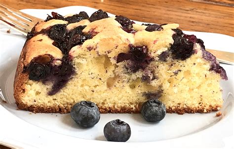 Blueberry Yogurt Torte — Ronnie Fein