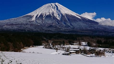 ふじざくランニング 2022年2月