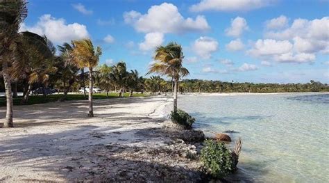 Así Luce La Laguna Nopalitos En Tulum Tras Años De Resguardo Quinta