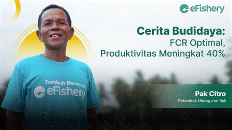 Cerita Budidaya EFeeder Dari EFishery Bantu Optimalkan FCR Dan