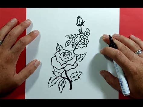 Como Dibujar Rosas Paso A Paso How To Draw Roses