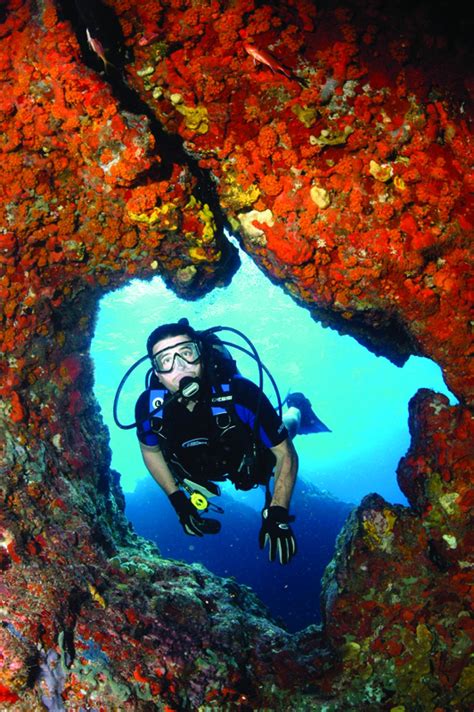 British Virgin Islands | Scuba Diving