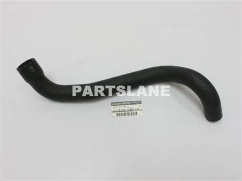 21503 0M002 Nissan OEM Genuine HOSE RADIATOR LOWER EBay