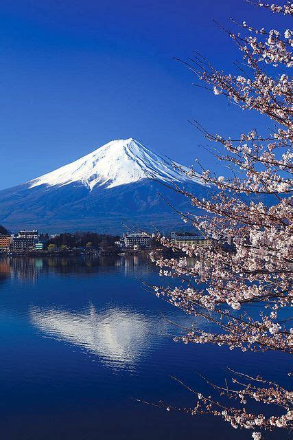 Beautiful cherry blossoms with Mount Fuji, japan | Paesaggi, Luoghi ...