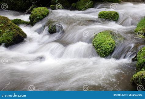 Flowing Creek Stock Photo Image Of River Fall Green