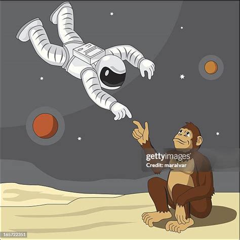 162 Evolution Monkey To Man Stock Photos, High-Res Pictures, and Images ...