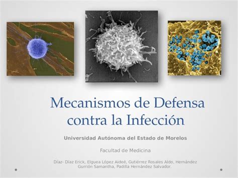 Pptx Mecanismos De Defensa Contra La Infecci N Dokumen Tips