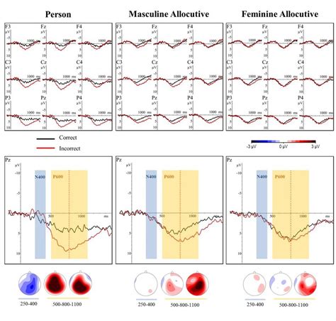 Upper Panel Erp Average Waveforms For Person Masculine And Feminine