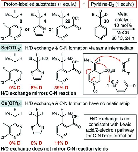 Heterocycle Isotope Exchange Catalyzed By Sc Otf And Cu Otf