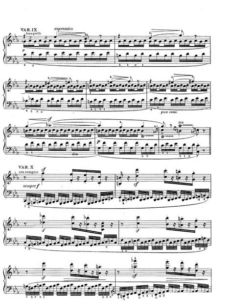 Beethoven WoO 80 32 Variations in C Minor 钢琴谱 简谱