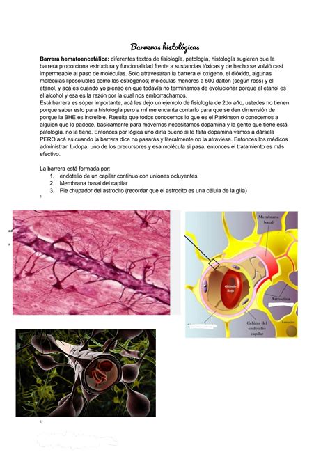 SOLUTION Barreras Histologicas Studypool