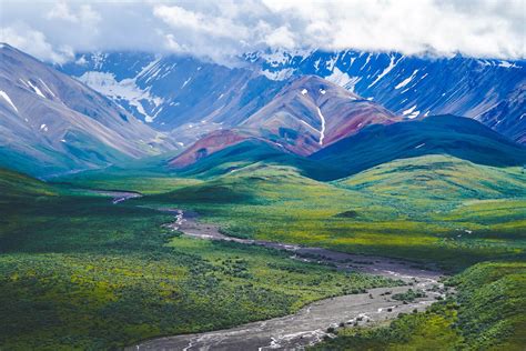 Unveiling The Wilderness: Exploring Denali State Park - Australia Rain ...