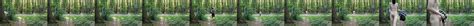 In Het Bos 8 Nude Pics XHamster