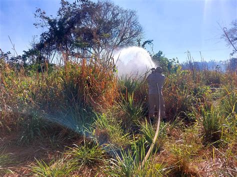 Incêndio toma conta de vegetação e queima área de oito hectares