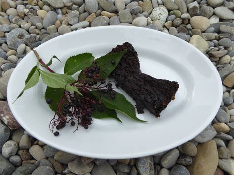 Wildkräuter Rezepte kraeuter im alltag