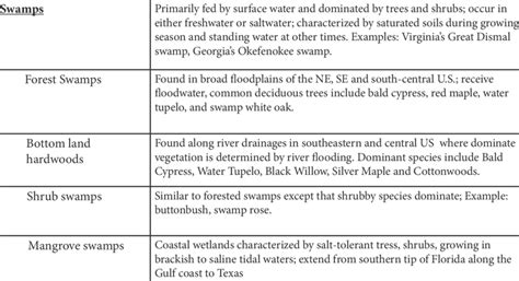 Types Of Wetlands Epa Classifications Continued Wetland Types