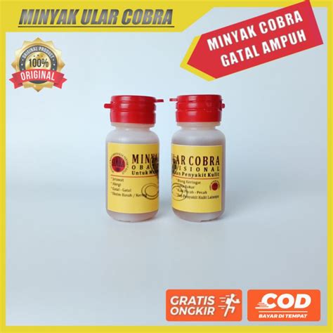 Jual Obat Gatal Minyak Ular Cobra Original Obat Tradisional