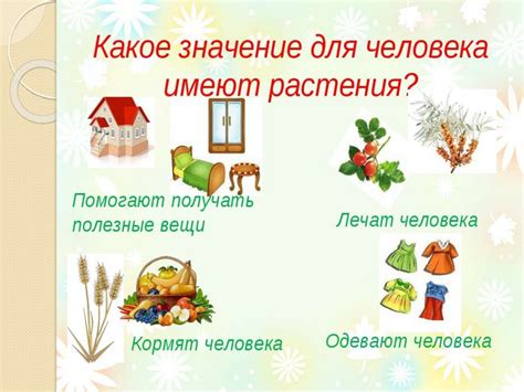 Растение и человек. Растение как источник питания - презентация онлайн