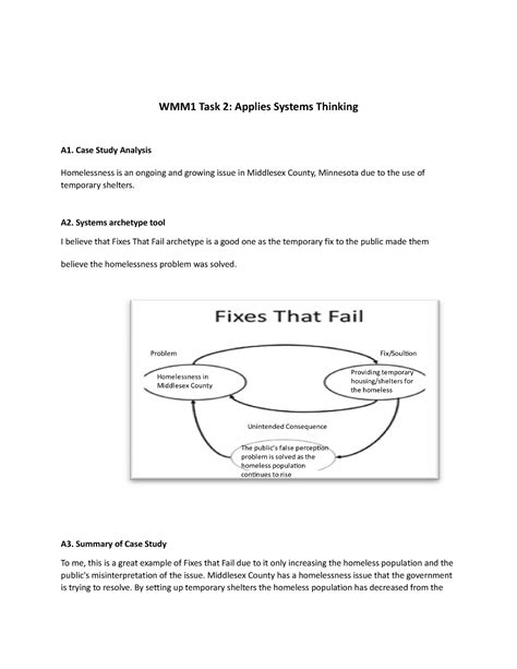 D372 Task 2 Passed WMM1 Task 2 Applies Systems Thinking A1 Case